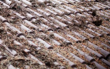 Marloes roof cleaning companies