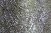 Marloes fibreglass roof work